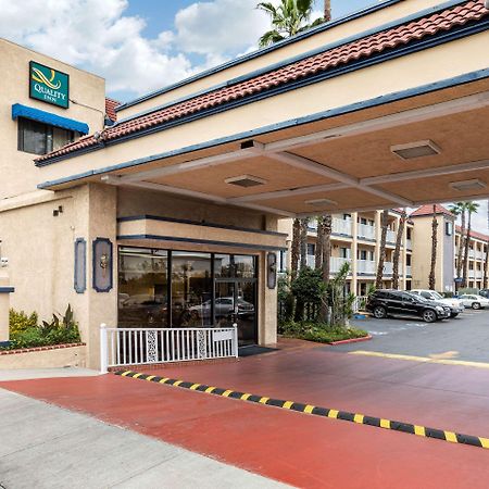 Quality Inn Lomita-Los Angeles South Bay Экстерьер фото